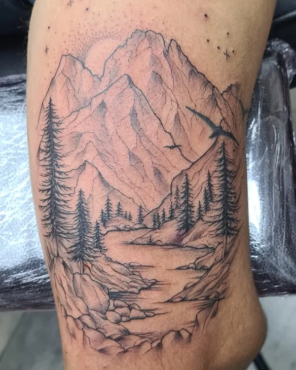Paysage de montagnes et forêt