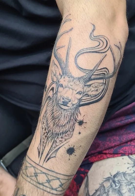 Cerf sur l’avant-bras