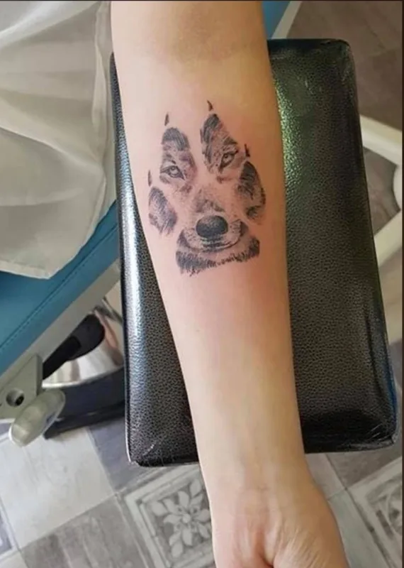 Petit portrait de chien sur l’avant-bras
