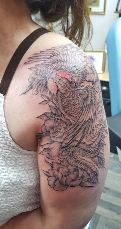 Grand oiseau sur l’épaule